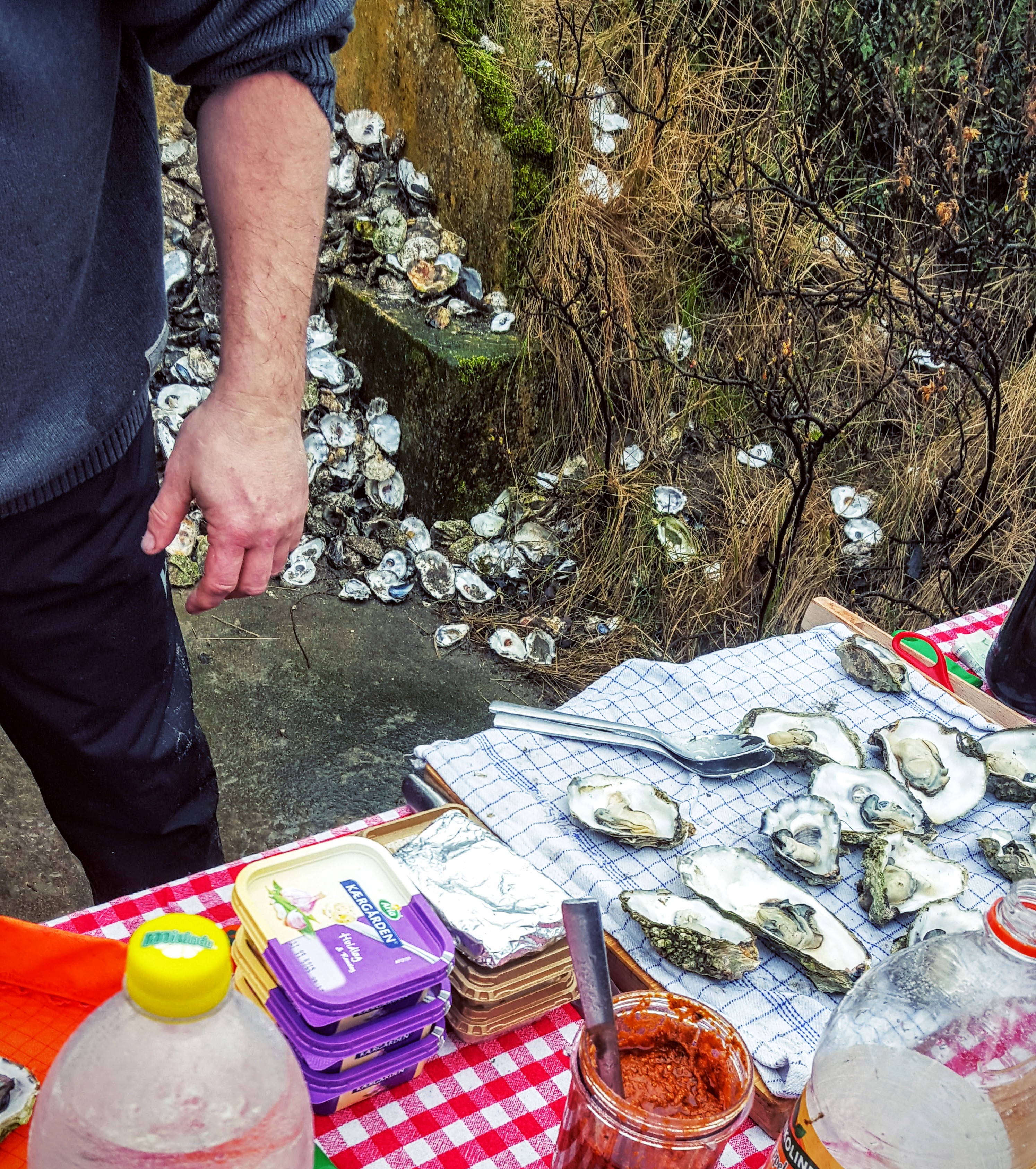 Fanø østers næsten klar til grillen Fanø østers næsten klar til grillen
