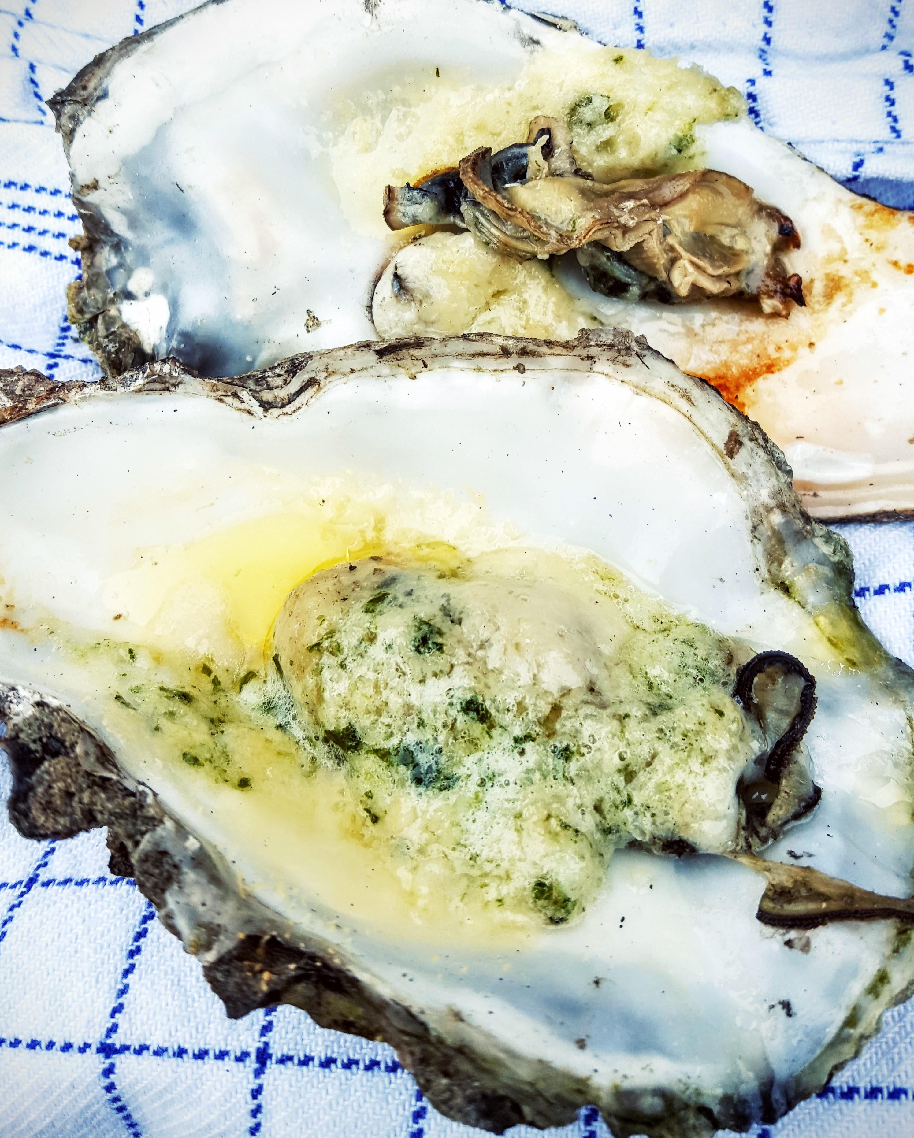Fanø østers grillede i hvidløg & ramsløg smør og revet parmesanost Fanø østers grillede i hvidløg & ramsløg smør og revet parmesanost