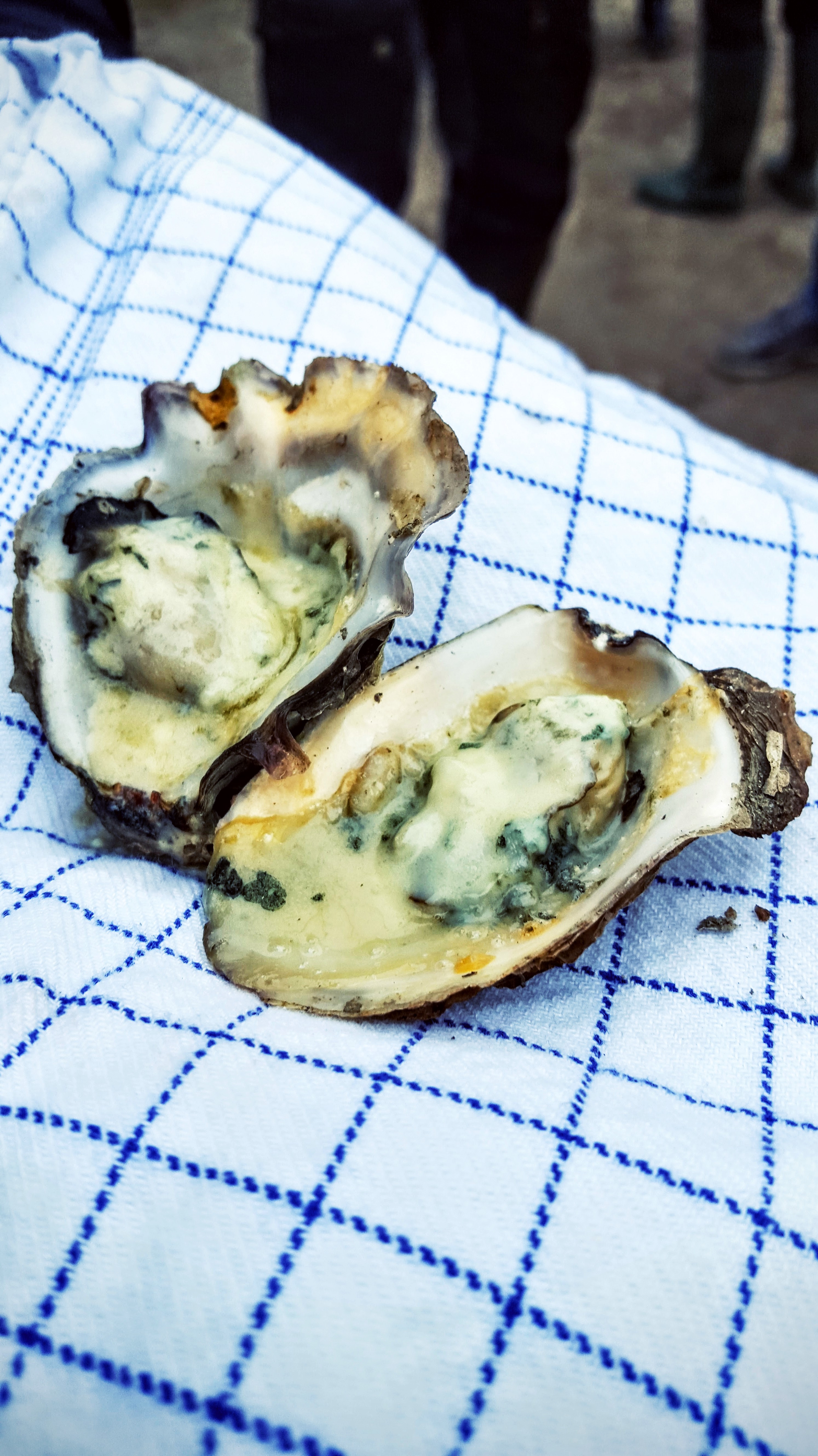 Fanø østers med gorgonzola Fanø østers med gorgonzola