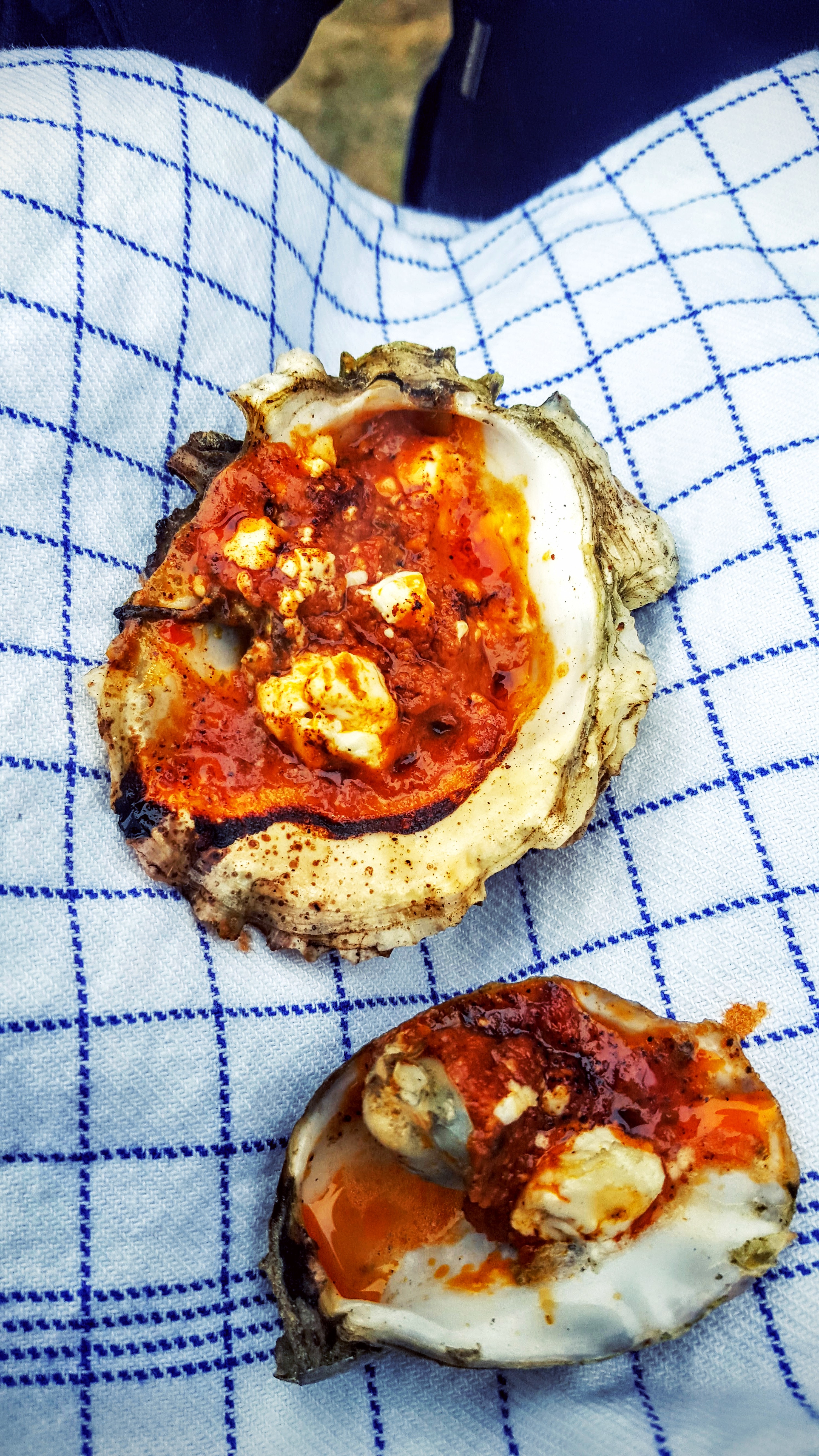 Fanø østers med rød pesto og feta ost Fanø østers med rød pesto og feta ost
