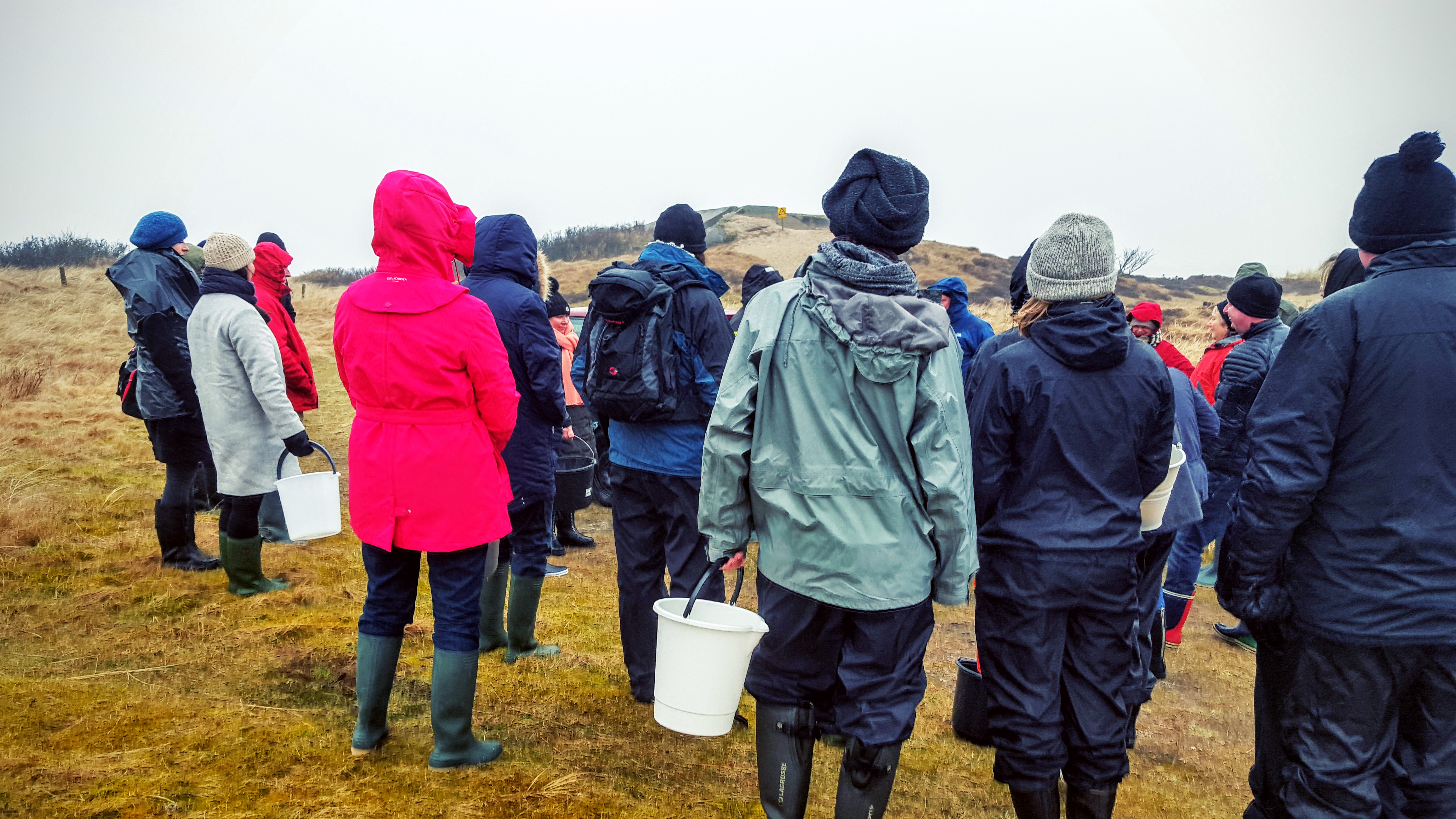 Fanø østerssafari brief Vadehavet Fanø østerssafari brief Vadehavet