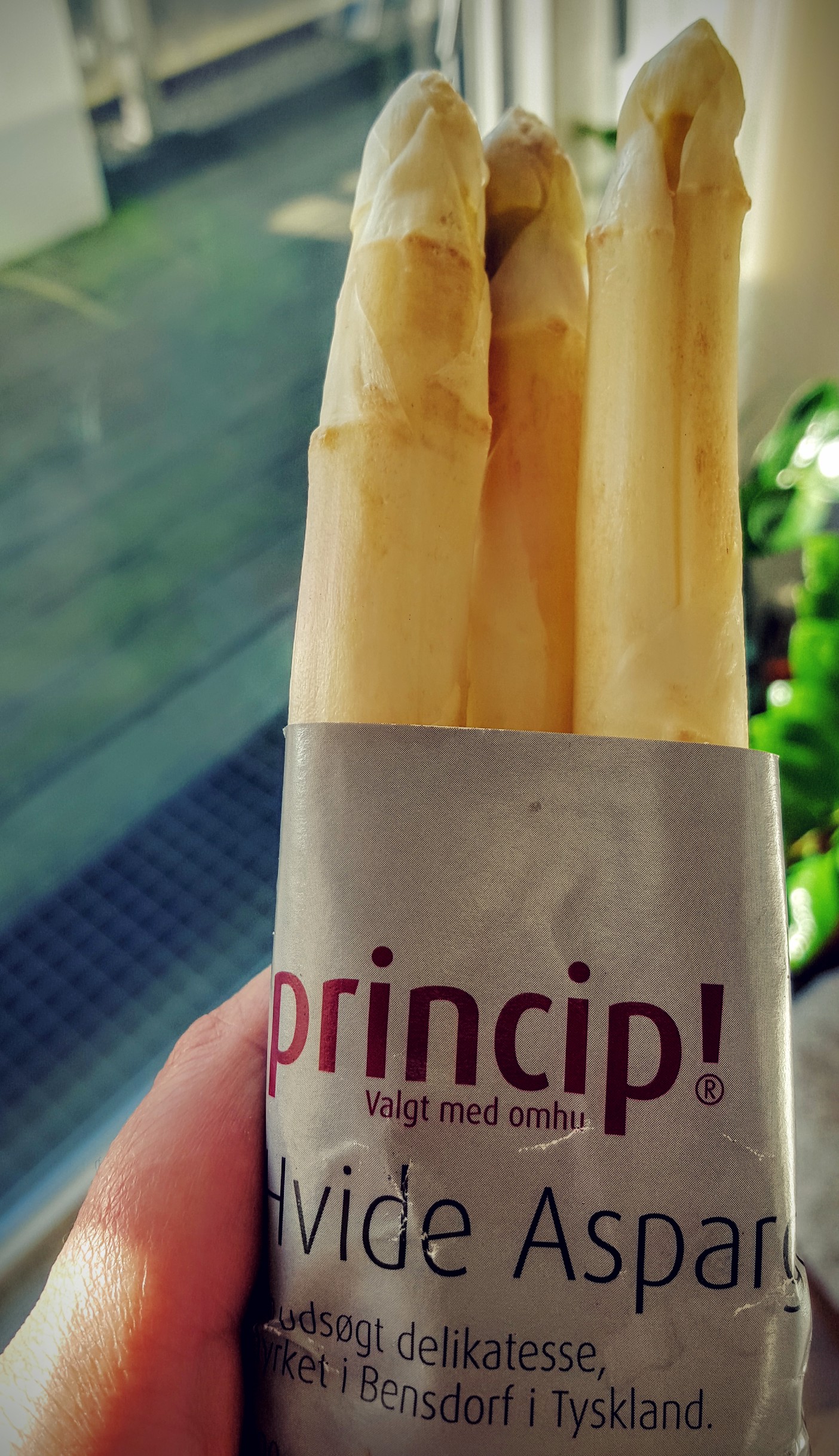 Hvid asparges fra Princip! Hvid asparges fra Princip!