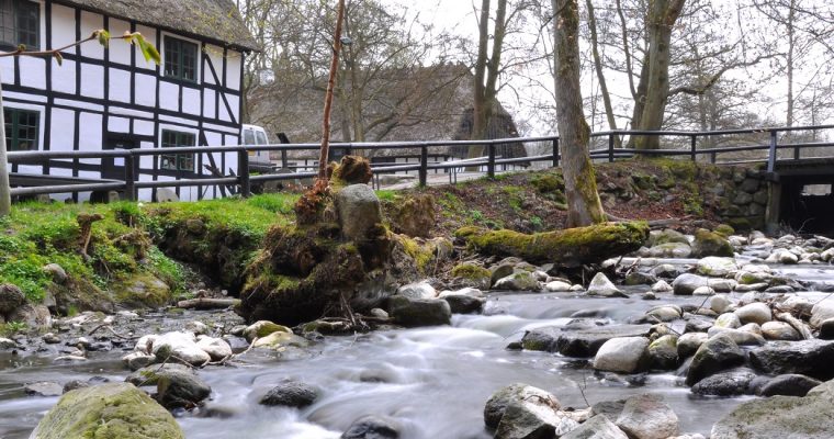 Smag På Byen Aarhus 2016 ved Restaurant Skovmøllen